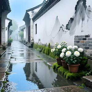 胡同里