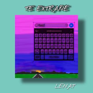 Te extrañé