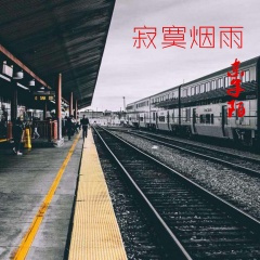 男人如虎 (DJ版)