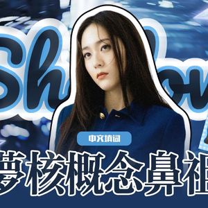 Shadow（中文填词版）