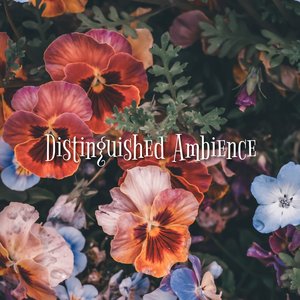 Distinguished Ambience