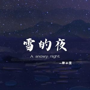 雪的夜