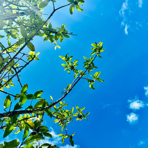 缘分这纸窗被你的笑拂亮