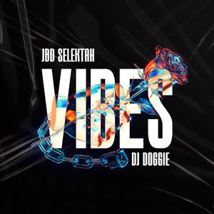 Vibes (feat. DJ Doggie & Shoiba)