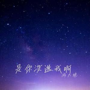 是你没选我啊 (游大炮 Remix)
