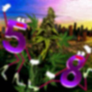 Pass the Pastor's Pasta Past the Pasture