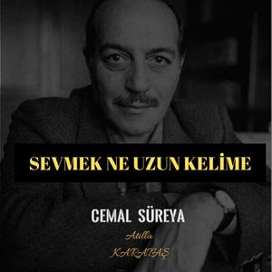 Sevmek Ne Uzun Kelime