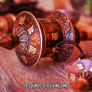 自然白噪声 - 冥想、放松、睡眠、按摩、水疗的音乐