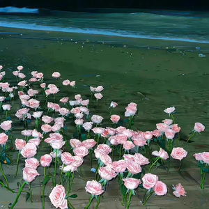 Значение（Drum）