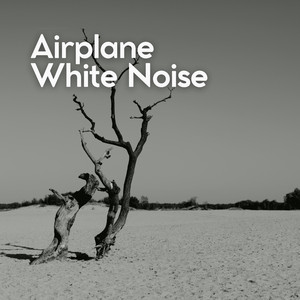 Airplane White Noise, Pt. 14
