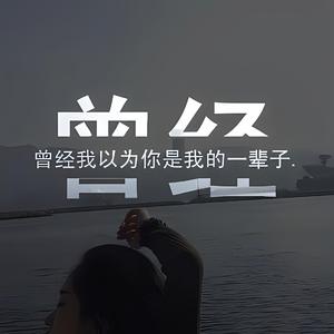 你不再属于我（凉冰 remix）