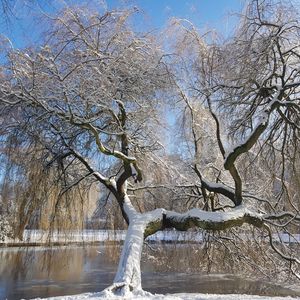 Don't Tell Me I Can't Have It