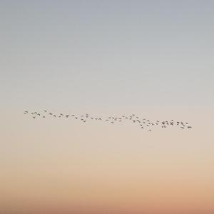 暖一点好不好【已售】