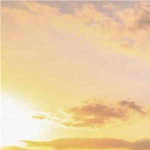 阳光与他的约定