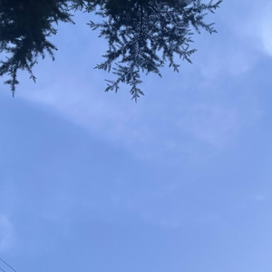 永不失联的的爱