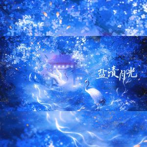 盐渍月光