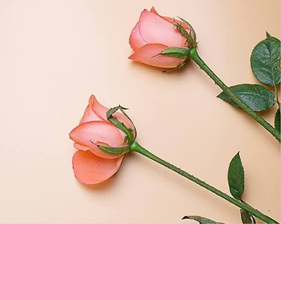 nana-iceman（Nana高小白 Remix）