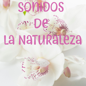 Lluvia Débil Para Canción De Cuna  (En Bucle, Sin Atenuarse)