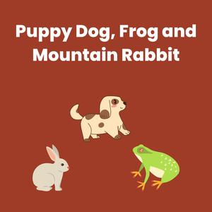 강아지 - Puppy Dog