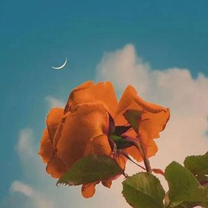 take my soul (demo ver.)