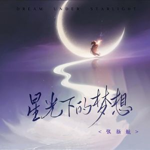 星光下的梦想
