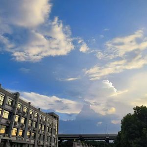 匿名的好友（抖音热播版)