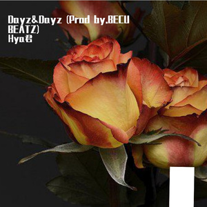 Dayz&Dayz （Prod by.BECU BEATZ）