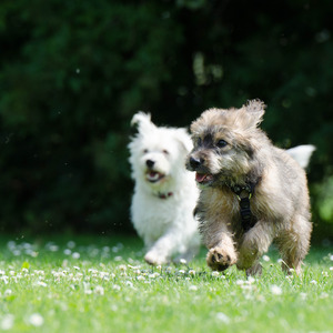 さよならのメロディー