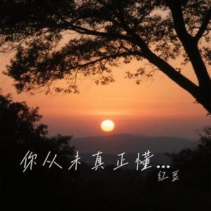 你从未真正懂过我的苦 (Cover 洋澜一)