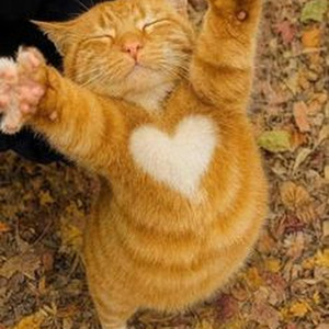 Pretty Woman (slowed)