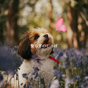 Smooth A Peaceful Gaze