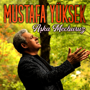 Haysiyetsiz Sahtekarlar