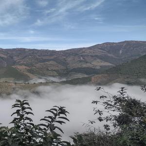 “Eres mi pasión”