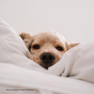 Being So Lonely (feat. Guro Susanna)