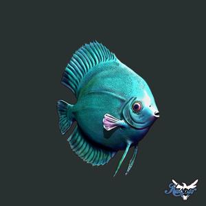 Discus