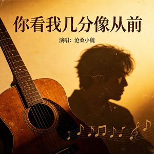 你看我几分像从前