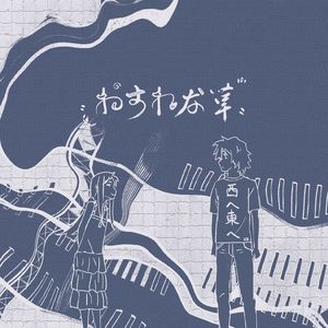 わすれな草（勿忘我）