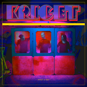 I Tried to Do My Best but Did Not