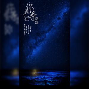 你说你在等潮落