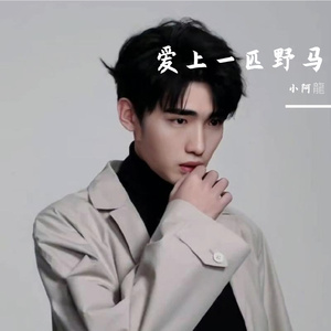 爱上一匹野马
