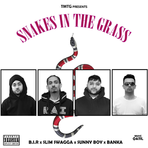 Snakes in the Grass (feat. Slim Swagga, Sunny Boy & Banka)