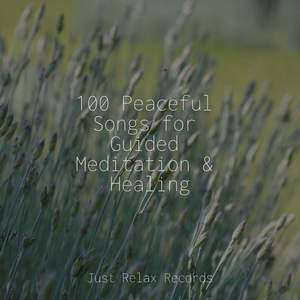 Melodic Veil of Secrecy