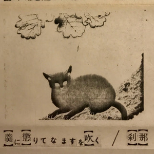 狐の嫁入り