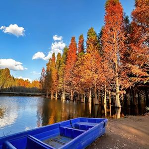 《迷雾中寻向的静谧时光》