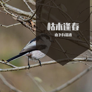 暮春 (3)