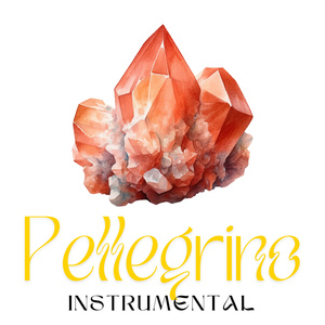 PELLEGRINO (Instrumental Version)