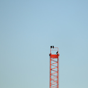 多摩川心中、午前二時。