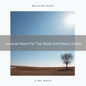 Unusual Noise For Top Sleep And More Rest