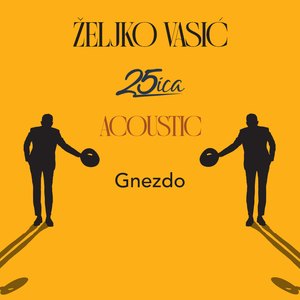Gnezdo (acoustic)