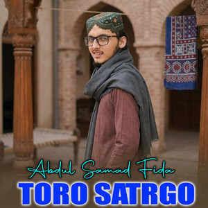Toro Satrgo